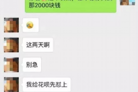 蒲城融资清欠服务